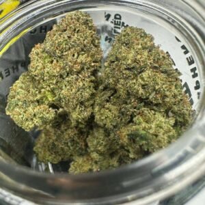 BISCOTTI X OG STRAINS TOP QUALITY