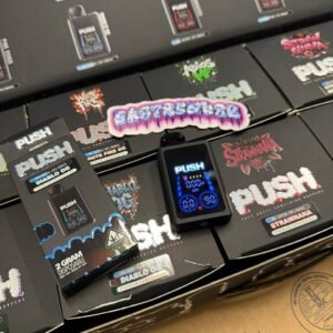 NEW PUSH 2 GRAM DISPOSABLE WITH SCREEN